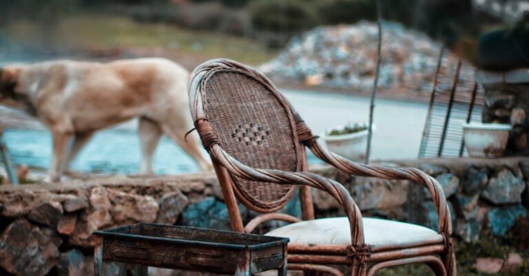 Køb din rattan stol online: En praktisk guide til at finde den perfekte stol til dit hjem